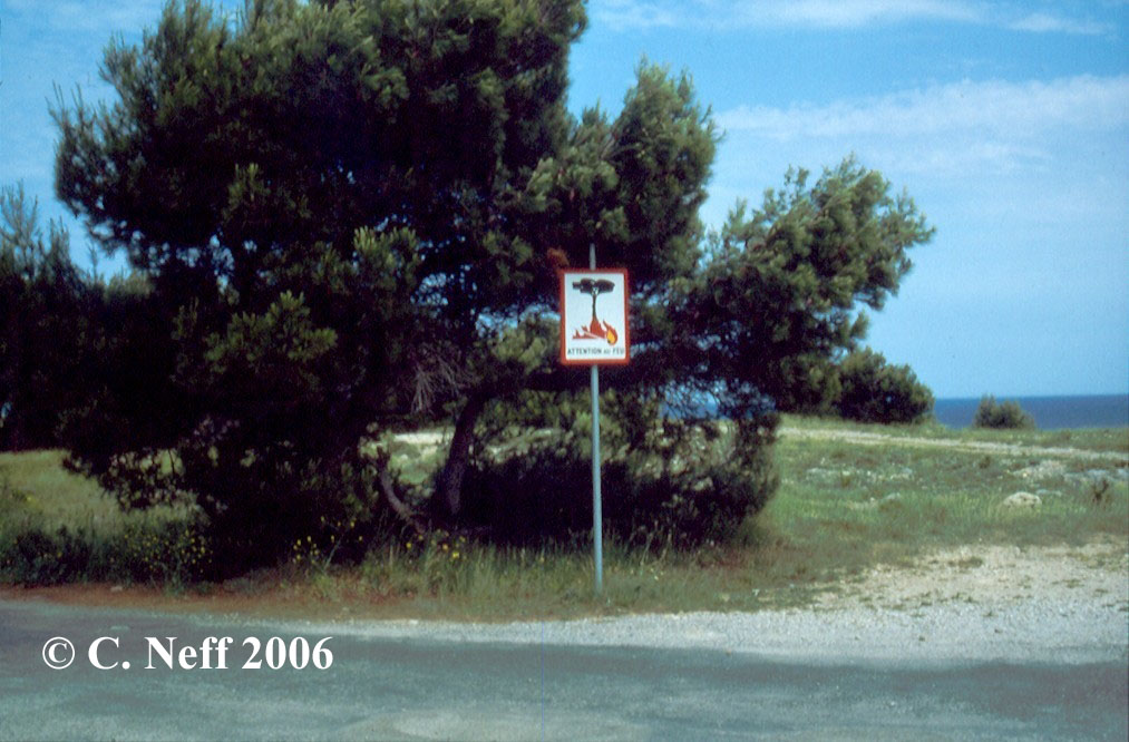Attention au Feu Cap Leucate Mai 1996 bearb
