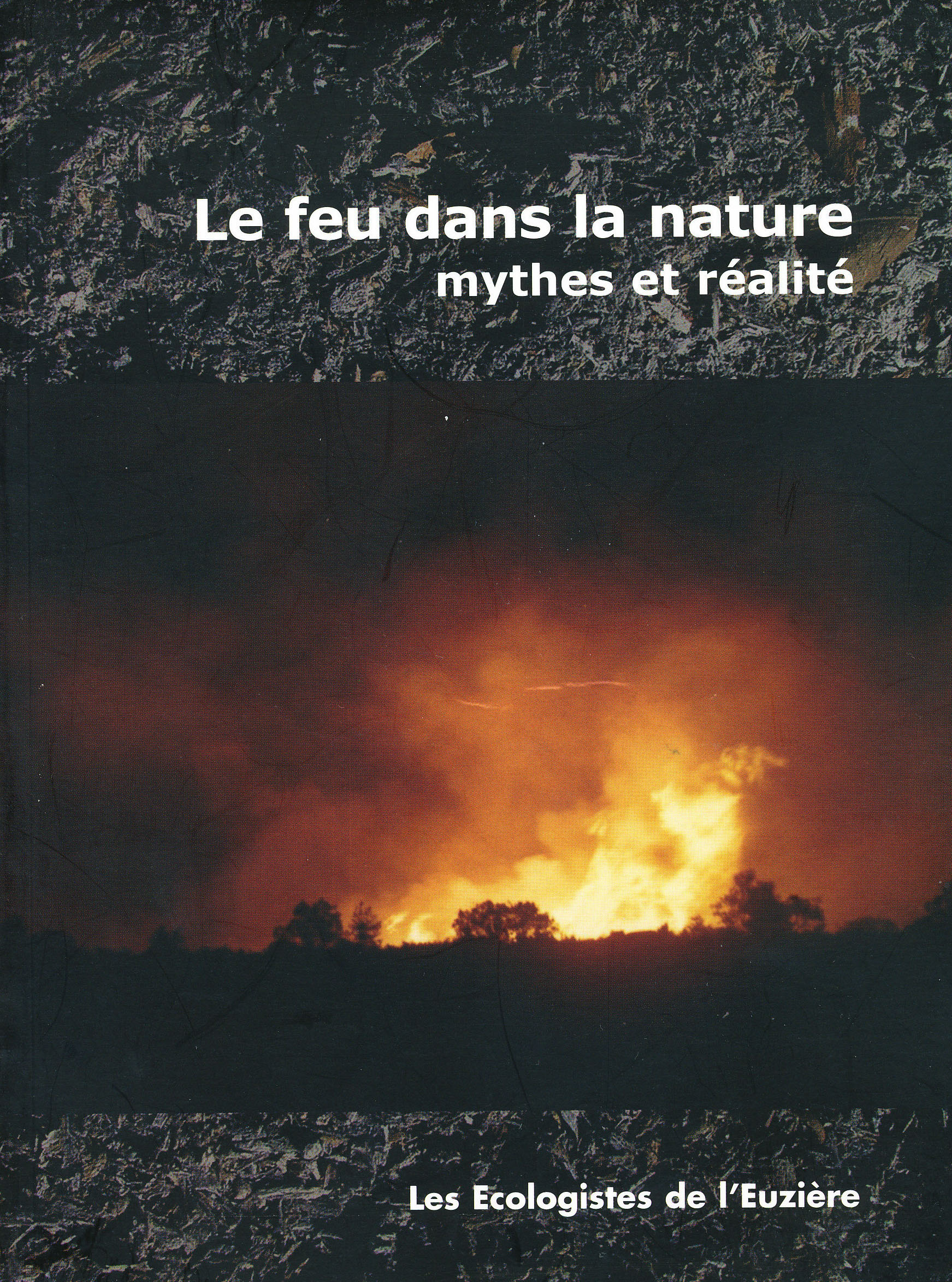 deckblatt le feu dans la nature