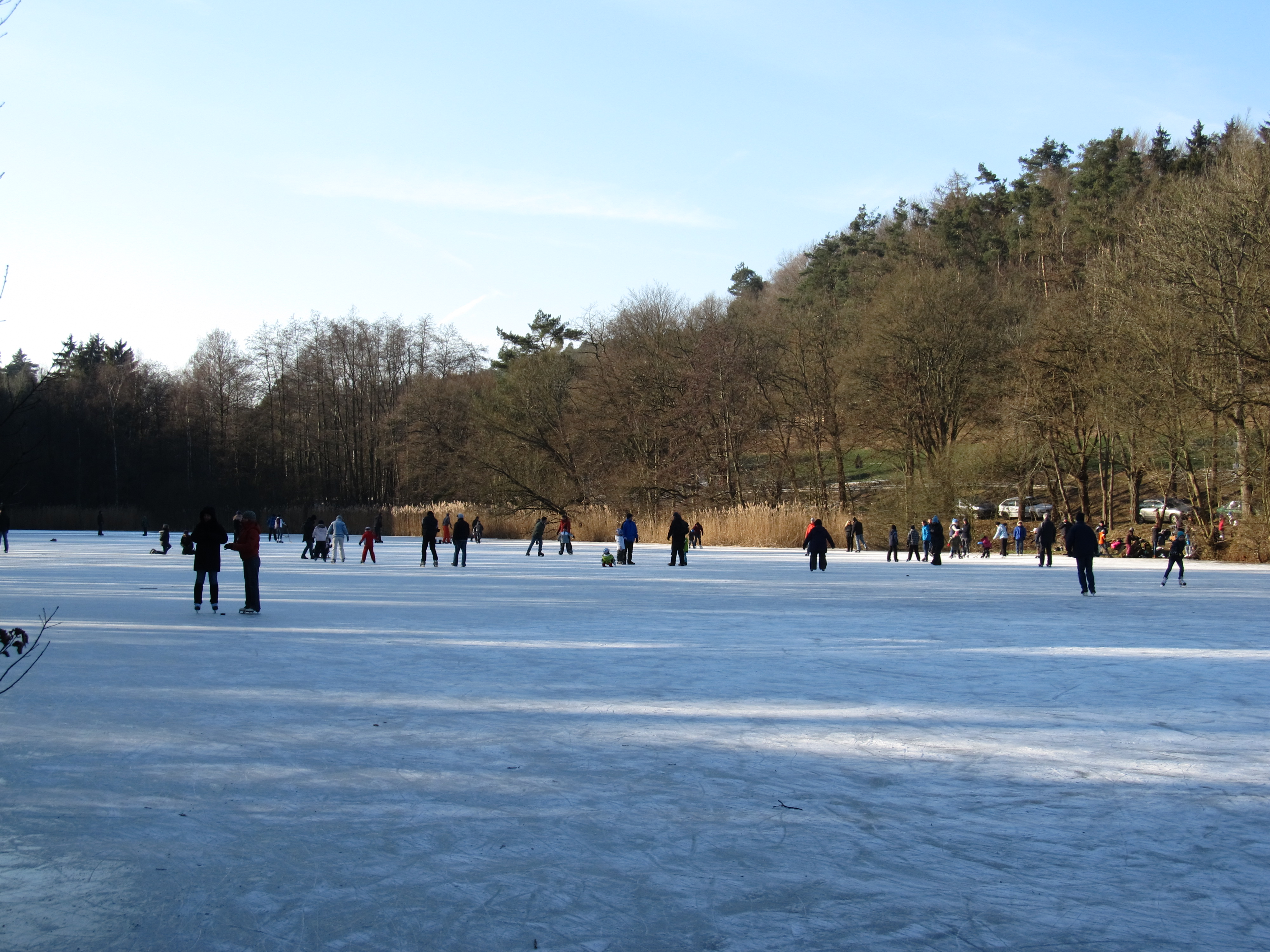 Schlittschuhläufer auf dem zugefroren Hetschmühlweiher 5.2.2012