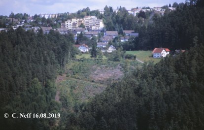 Schramberg - Blick auf die Steighäuslefläche 16.8.2012
