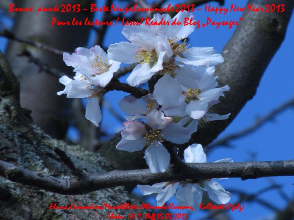 Neujahrspostkarte 2013 blog paysages