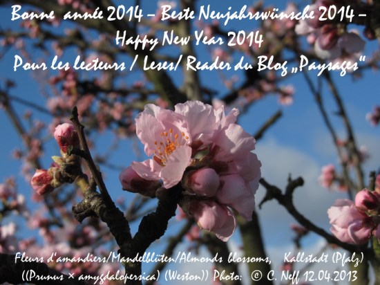 Neujahrspostkarte 2014 blog paysages