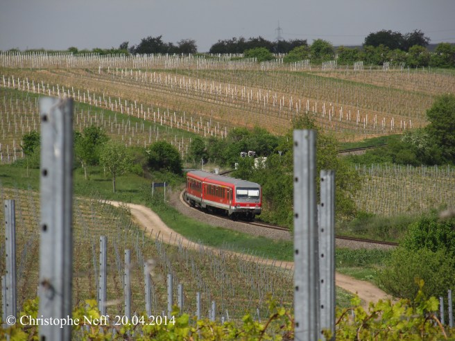 628 fährt durch Frühlingswingert bei Herxheim am Berg 20.04.2014