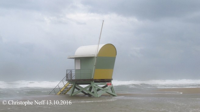 Leucate plage 13.10.2016 10H40 du matin