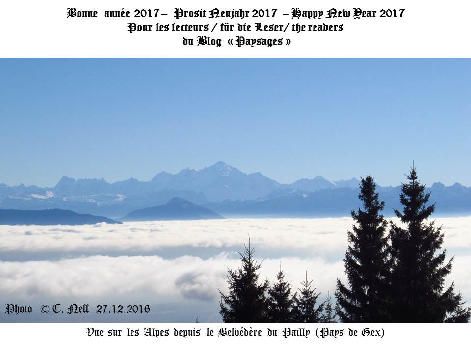 neujahrspostkarte-2017-blogpaysages