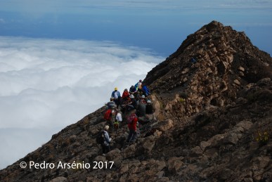 DSC_9408_Pedro Arsénio