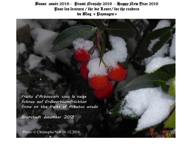 Neujahrspostkarte 2019 blog paysages