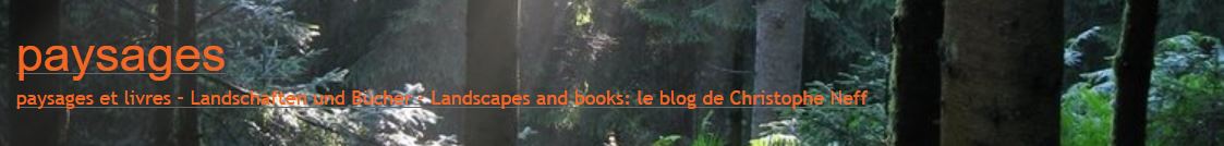 screenshot paysages wald