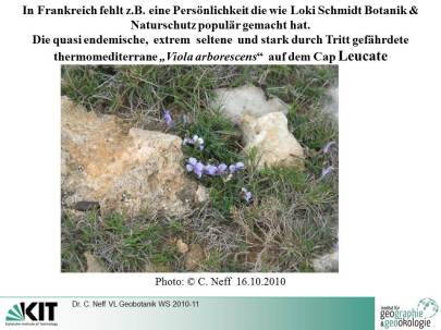 extraits cours géobotanique Violette Cap Leucate WS 2010-11