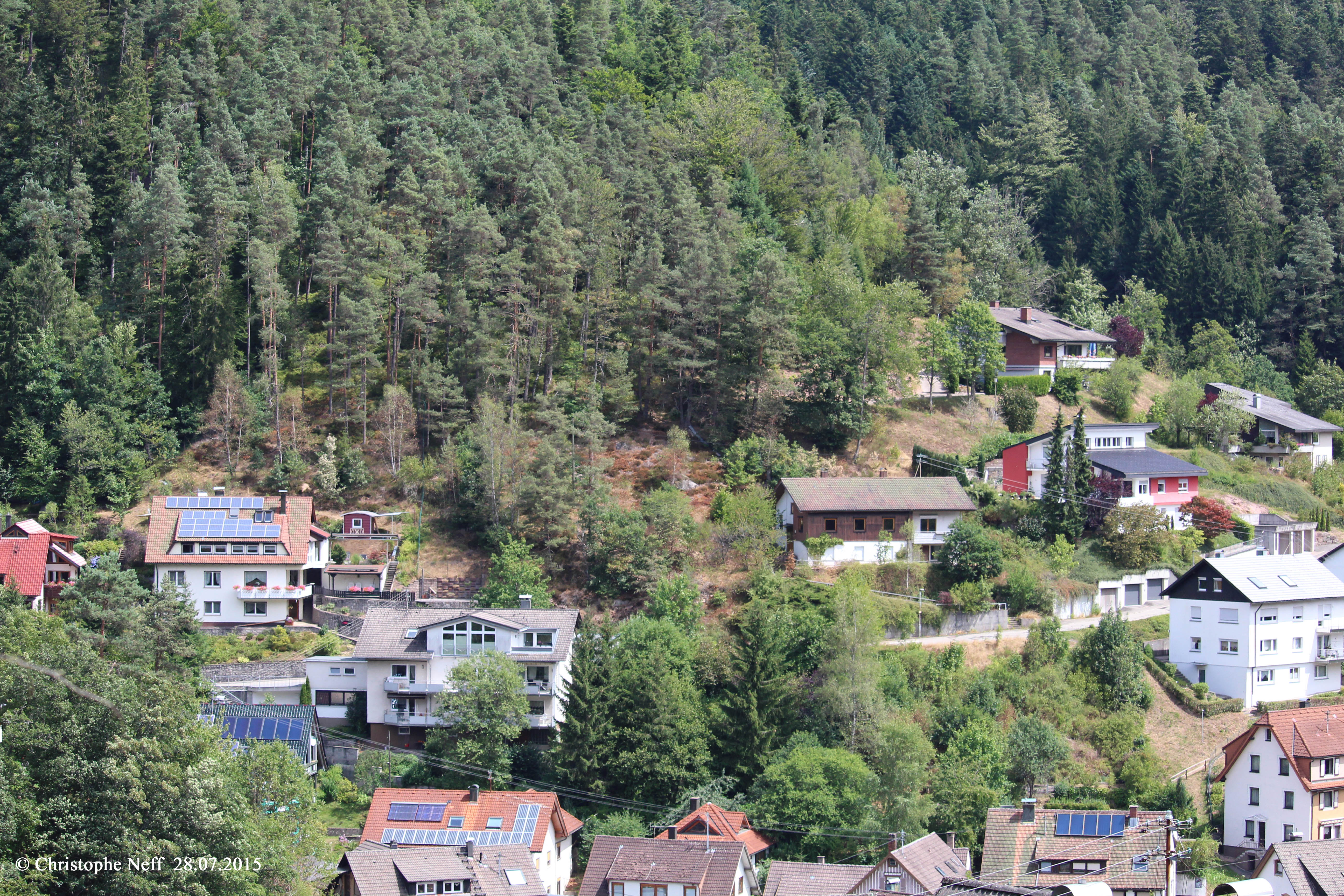 Californisation à Lauterbach (Forêt Noire) 28.07.2015
