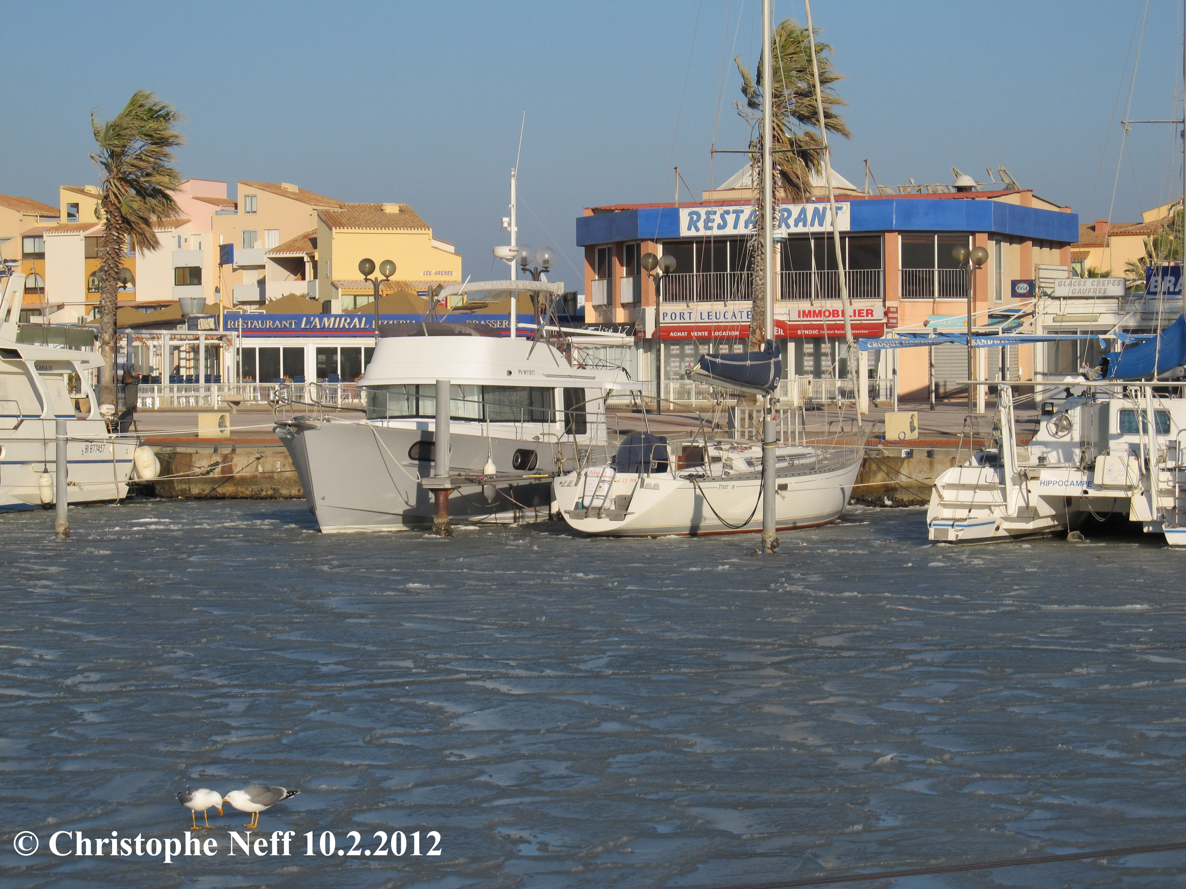 La banquise au Port de Port Leucate 2 10.2.2012