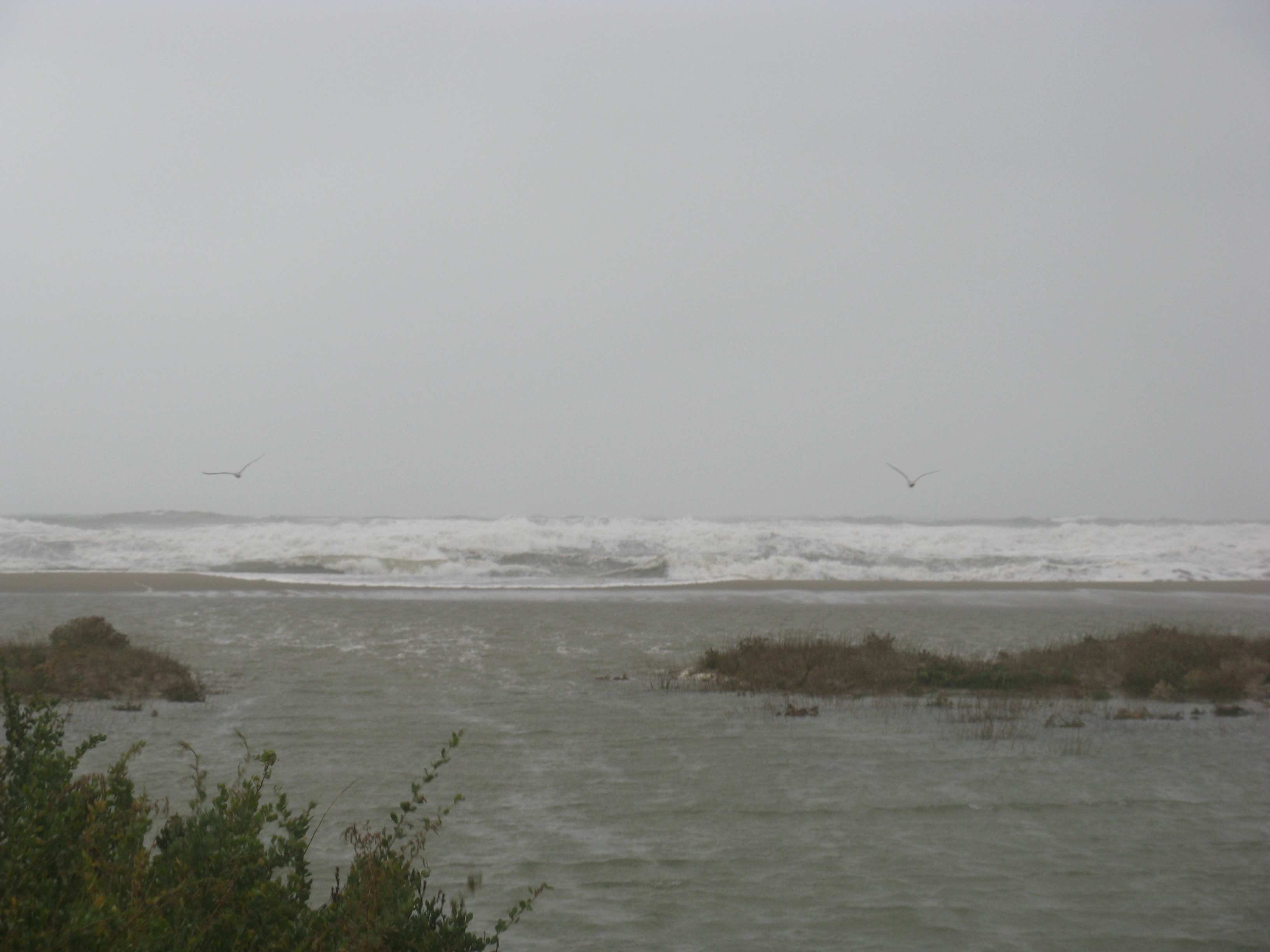 la mer sur la plage de Port Leucate 11.10.2010 9 Uhr 52