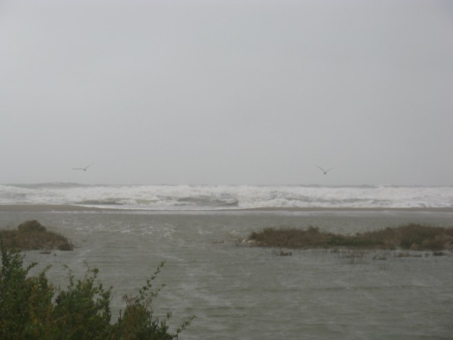 la mer sur la plage de Port Leucate 11.10.2010 9 Uhr 52