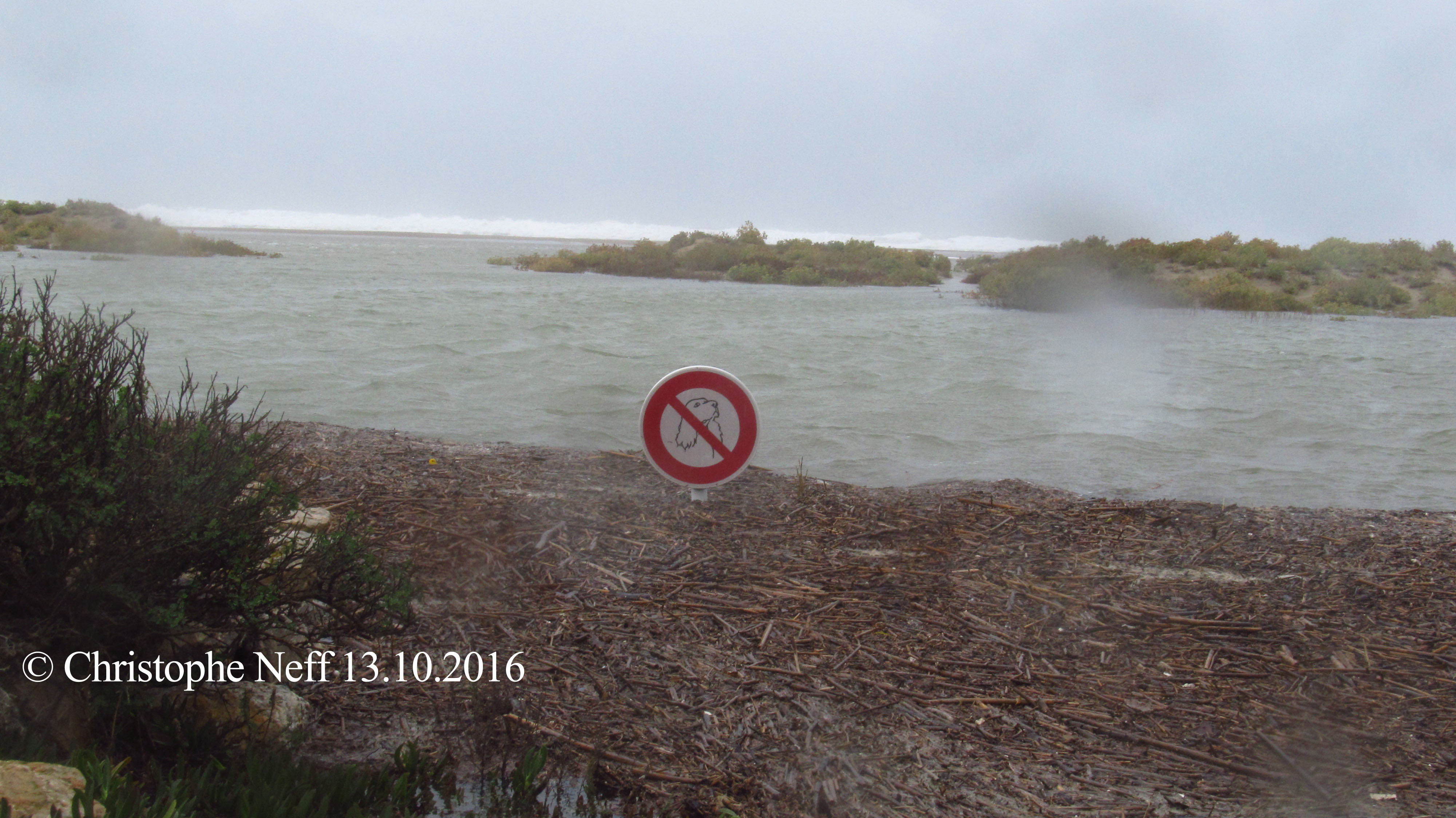 La plage de Port Leucate 13.10.2016, vers 15.27