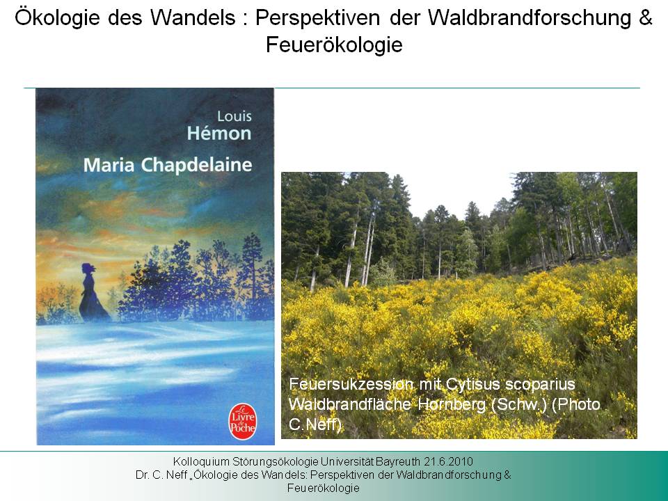 Titelfolie für Blog - Ökologie der Wandels 21.6.2010 Bewerbungsvortrag W -2 Professur für Störungsökologie