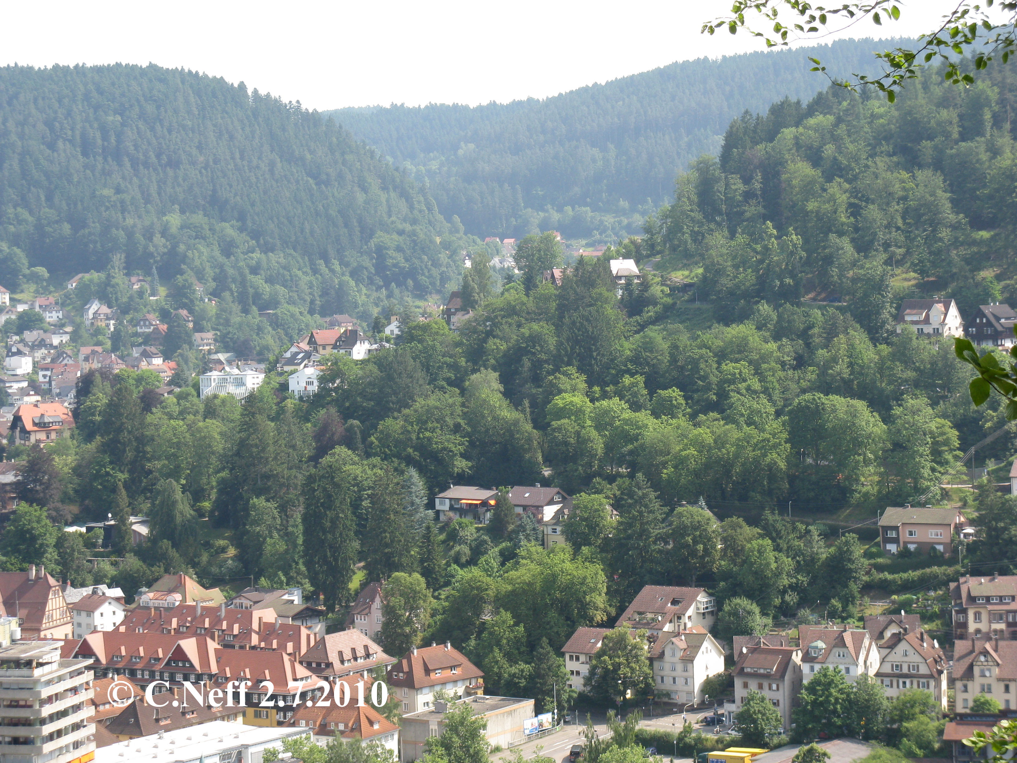 Verwaldung am Sonnenberg - Stadtpark in der Talstadt Schramberg Juli 2010