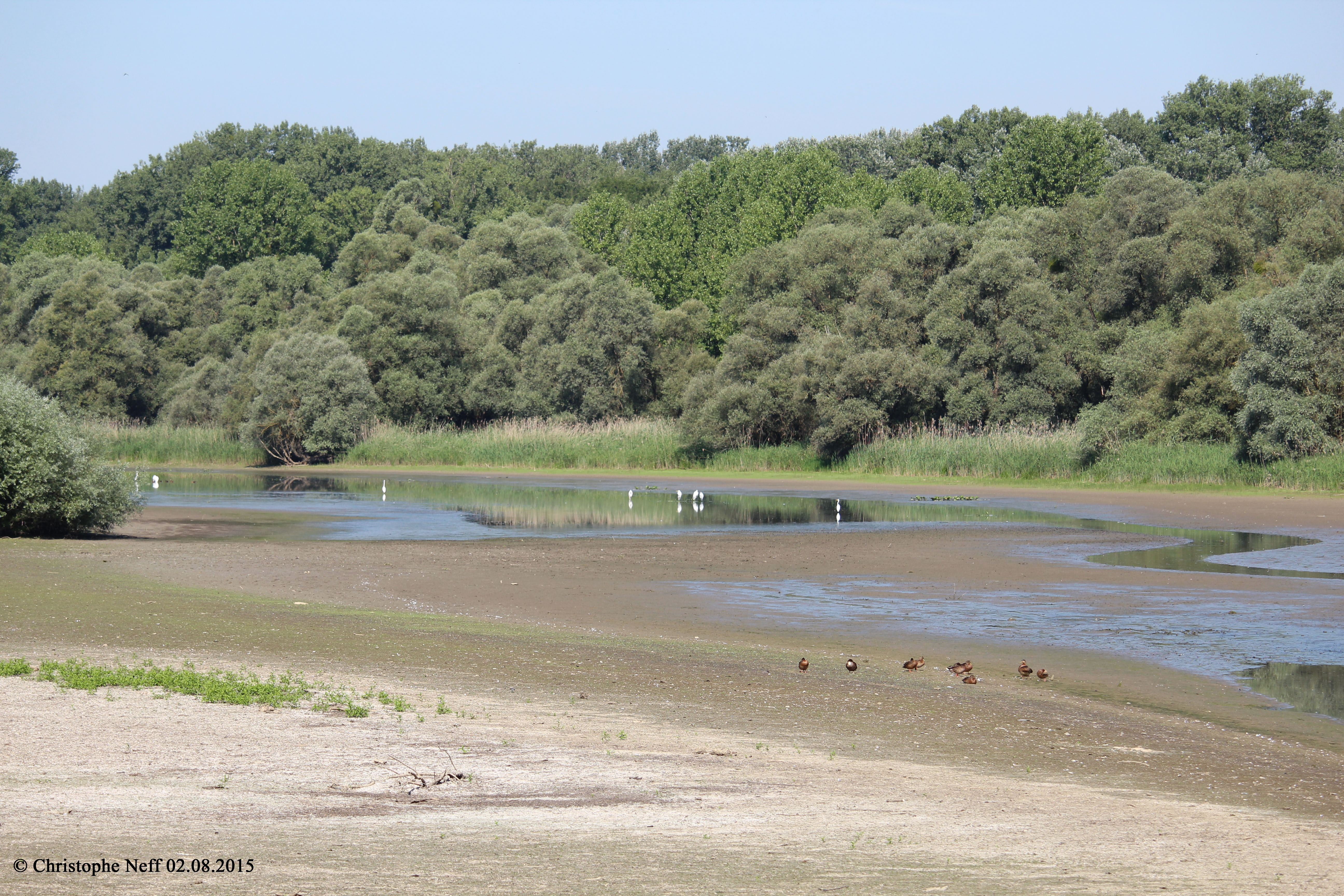 Vue sur le delta de la Sauer 02.08.2015 B1