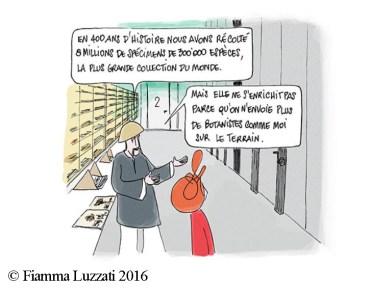 père david Fiamma Luzzati 2016