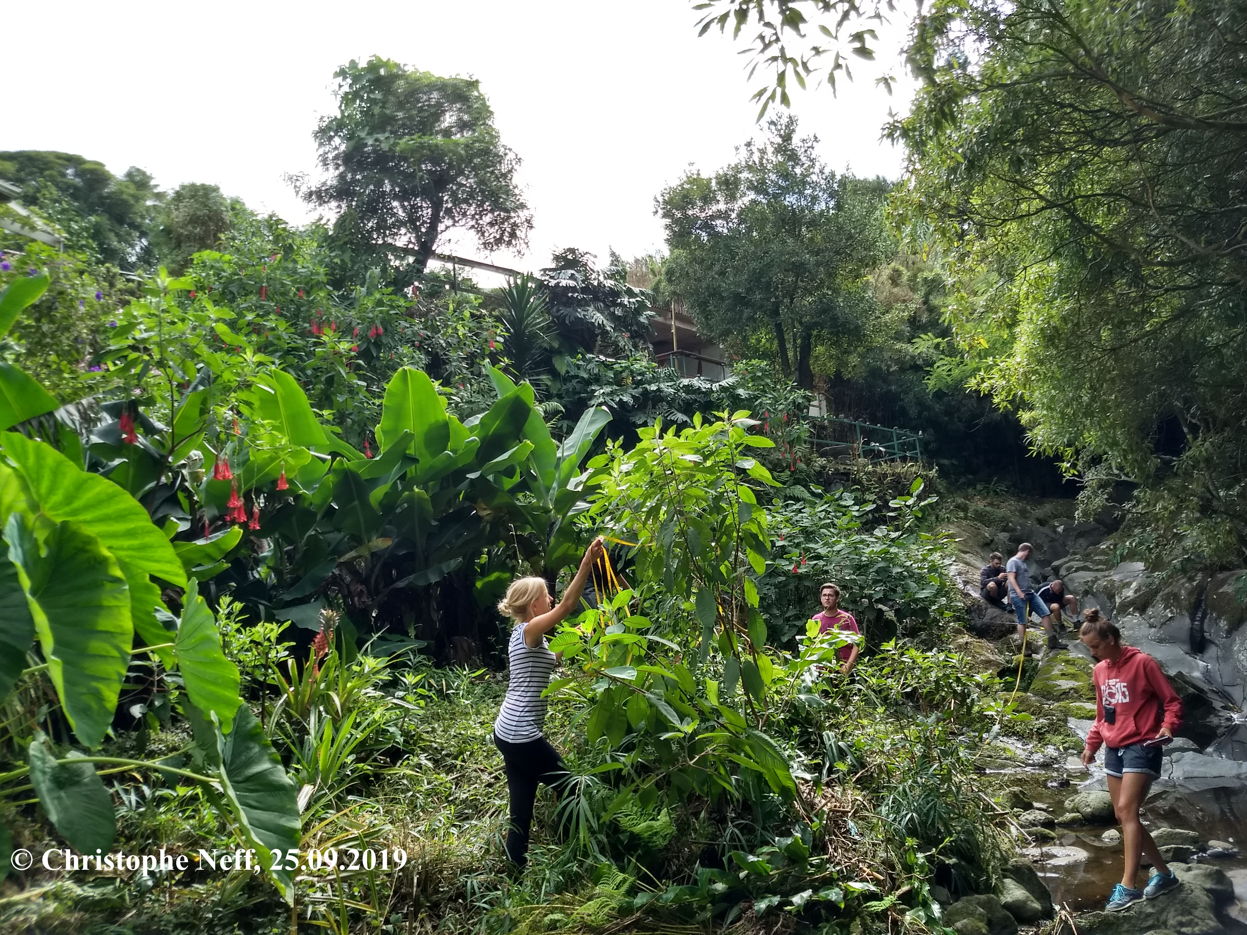 Relevé de végétation dans le jardin du O Esconderijo (25.09.2019 Cedros-Faial)
