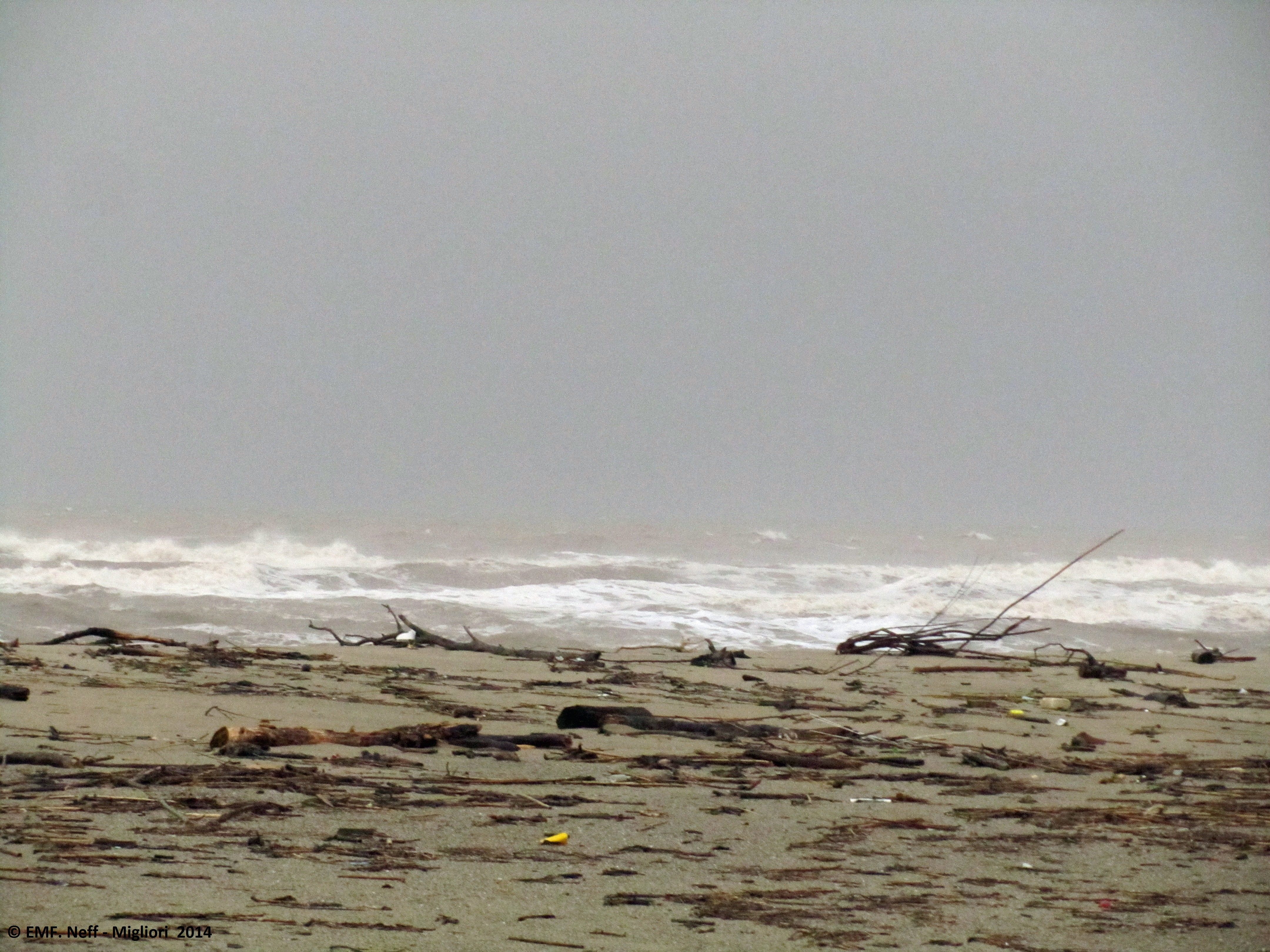 tempete 30nov20144_bearbeitet-1