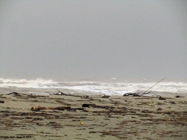 tempete 30nov20144_bearbeitet-1