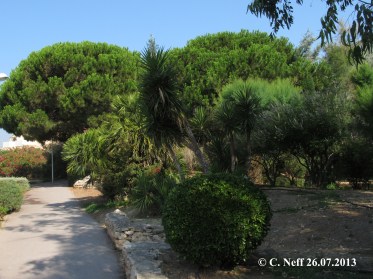 Espaces verts Port Leucate (Avenue de la Septimanie-  Rue de la