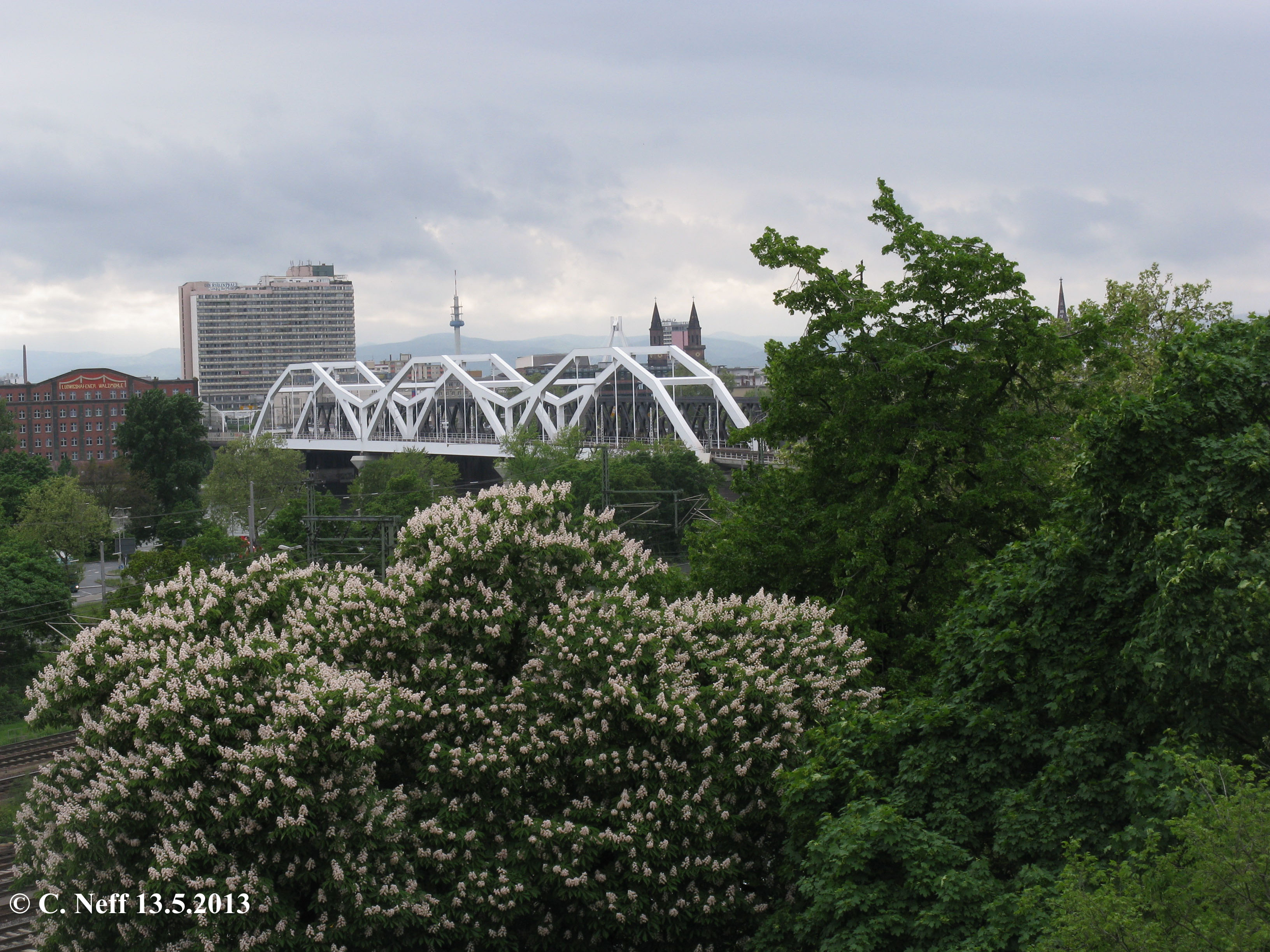 paysages urbains Mannheim - vue sur la Konrad Adenauer Brücke 13