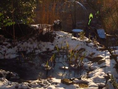 © Christophe Neff 20.03.2018