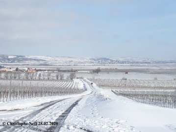 Neige sur la Unterhaadt- Schneebedeckte Unterhaardt 28.02.2020