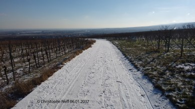 Janvier 2017 hiver sur le Grünstadter Berg (06.01.2017)