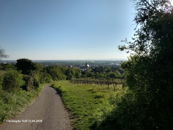 Blick auf Grünstadt 21.04.2020