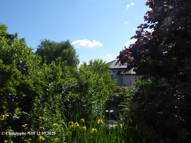 Garten und Himmelslandschaft Grünstadt 12.05.2020